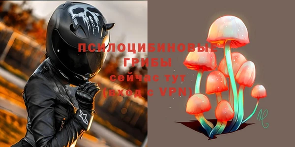 2c-b Горнозаводск