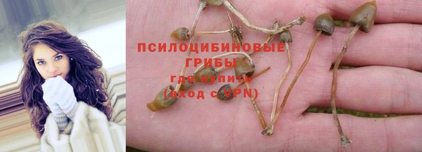 твердый Гусиноозёрск