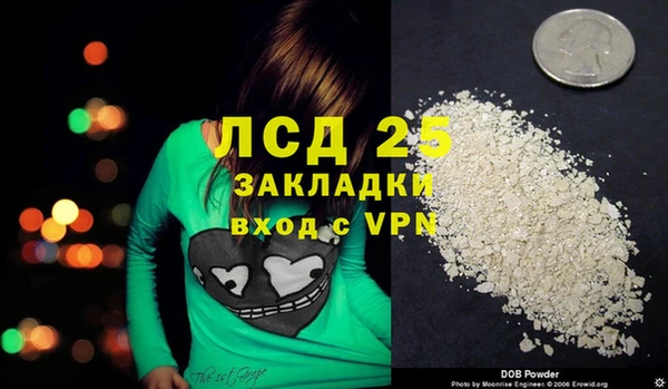 мяу мяу мука Гусев