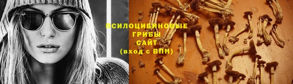 мяу мяу мука Гусев