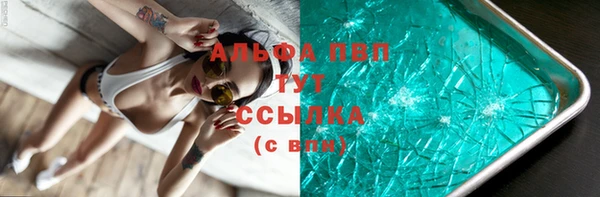 мяу мяу мука Гусев